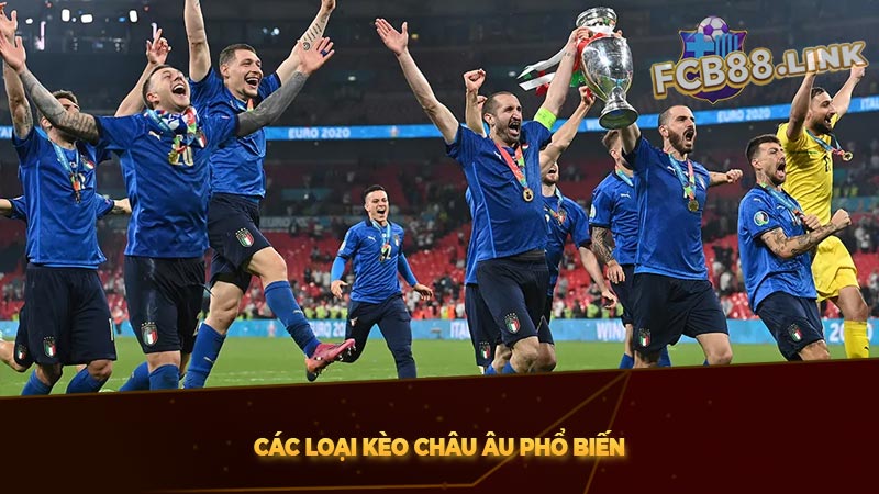 Kèo châu Âu là gì? | 2 Loại kèo Châu Âu phổ biến hiện nay Các loại kèo châu Âu phổ biến