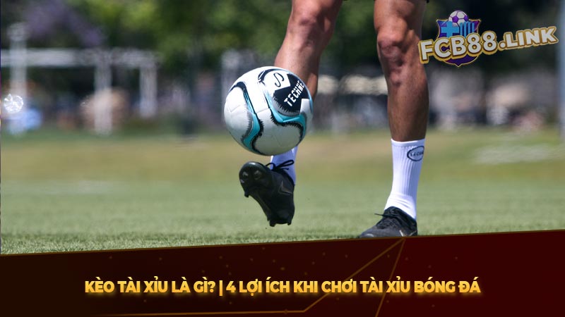Kèo tài xỉu là gì? | 4 Lợi ích khi chơi tài xỉu bóng đá Kèo tài xỉu là gì? | 4 Lợi ích khi chơi tài xỉu bóng đá