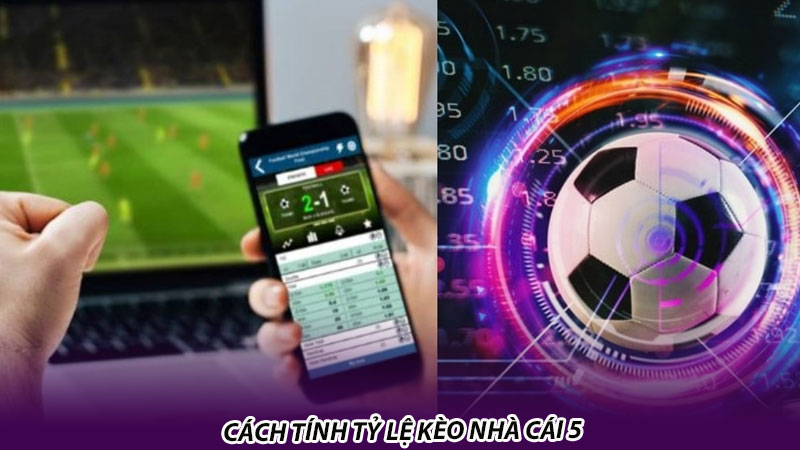 Tỷ lệ kèo nhà cái 5 là gì? 3 yếu tố ảnh hưởng đến tỷ lệ kèo nhà cái 5 Cách tính tỷ lệ kèo nhà cái 5