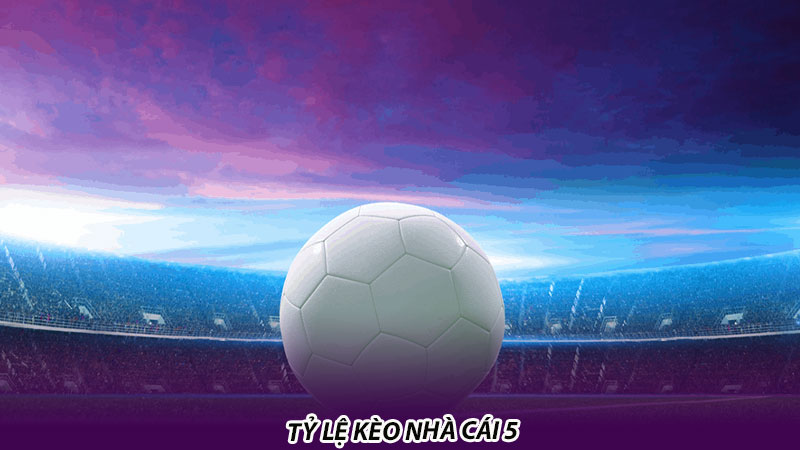 Tỷ lệ kèo nhà cái 5 là gì? 3 yếu tố ảnh hưởng đến tỷ lệ kèo nhà cái 5 Tỷ lệ kèo nhà cái 5
