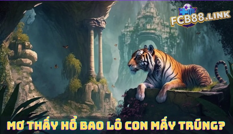 Mơ thấy hổ đánh con gì? Tổng hợp con số đề dễ trúng Mơ thấy hổ bao lô con mấy trúng?