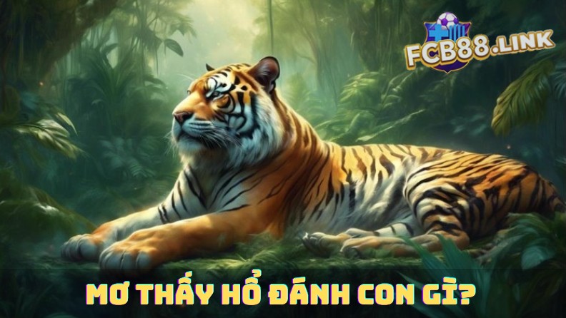 Mơ thấy hổ đánh con gì? Tổng hợp con số đề dễ trúng Mơ thấy hổ đánh con gì?