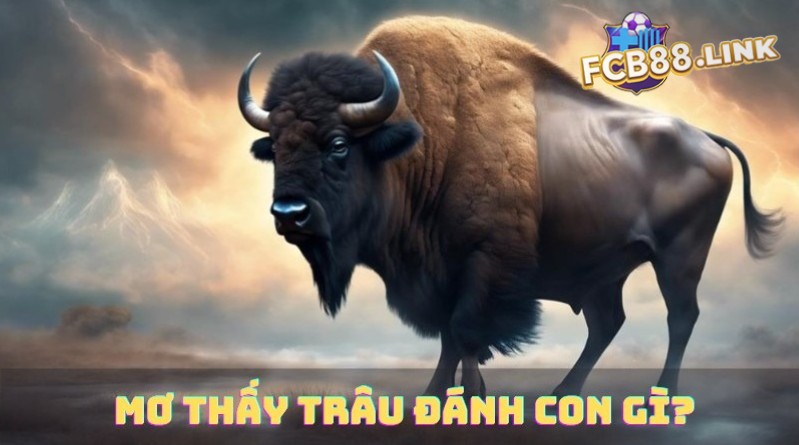 Mơ thấy trâu đánh con gì? Lô số đẹp hôm nay Mơ thấy trâu đánh con gì hên hôm nay?