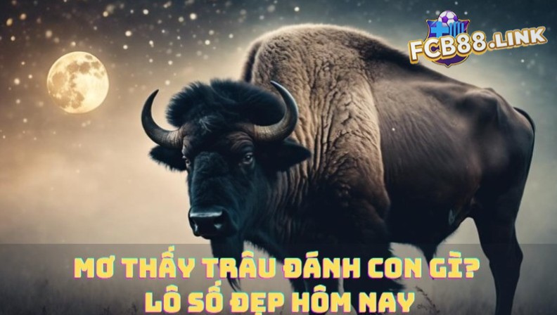 Mơ thấy trâu đánh con gì? Lô số đẹp hôm nay Mơ thấy trâu đánh con gì?