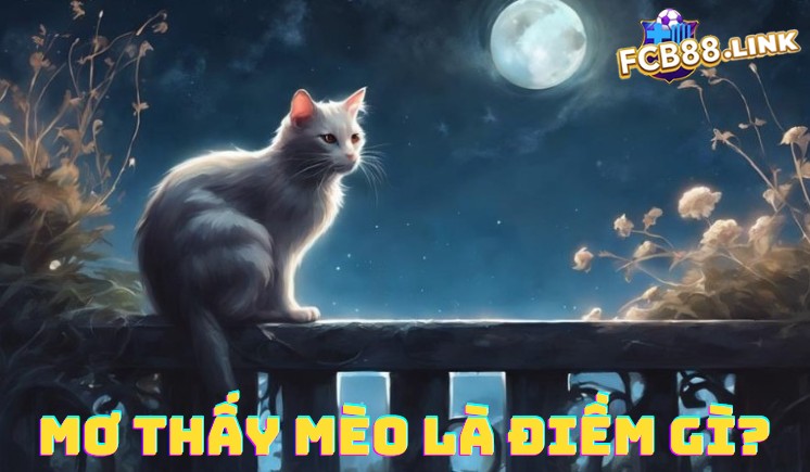 Mơ thấy mèo đánh con gì? Ý nghĩa tâm linh về mèo Giấc mơ thấy mèo là điềm gì trong tâm linh?