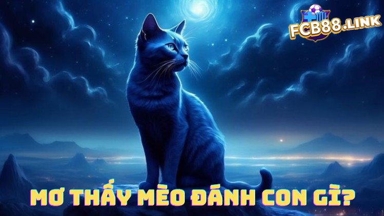 Mơ thấy mèo đánh con gì? Ý nghĩa tâm linh về mèo Mơ thấy mèo đánh con gì?